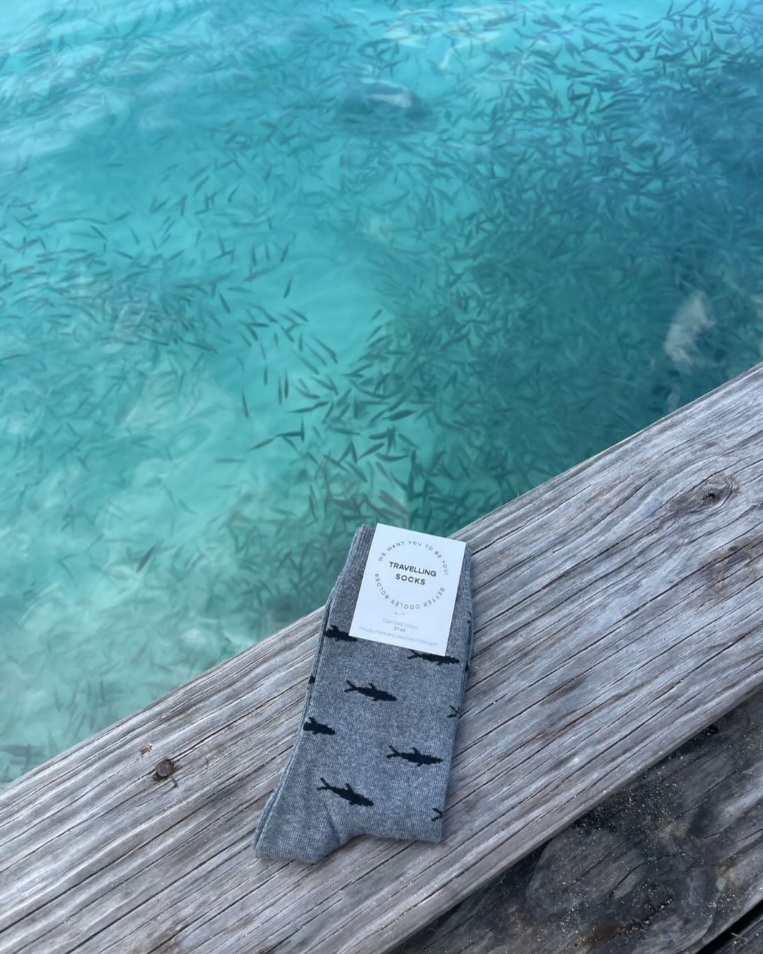 476331695_18128590651396963_115155011494689700_n